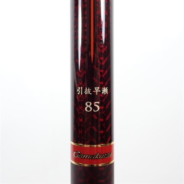 １９競技スペシャルＶ７引抜早瀬８５